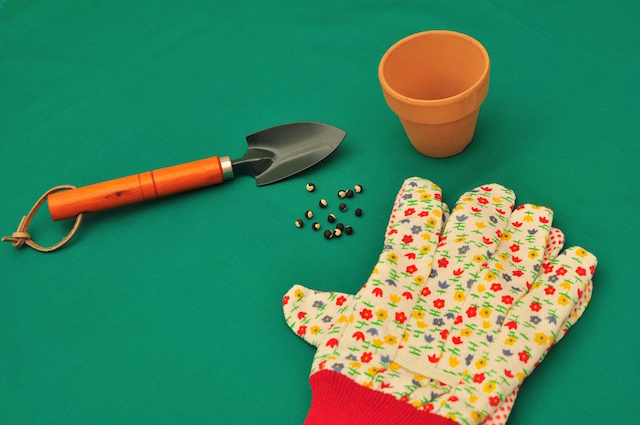 秋がはじめどき 定番ハーブを育てて料理のレベルアップを目指そう ほほえみごはん 冷凍で食を豊かに ニチレイフーズ