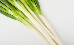 【長ネギの保存方法】冷蔵で3週間もつ！ 野菜ソムリエのテクニック