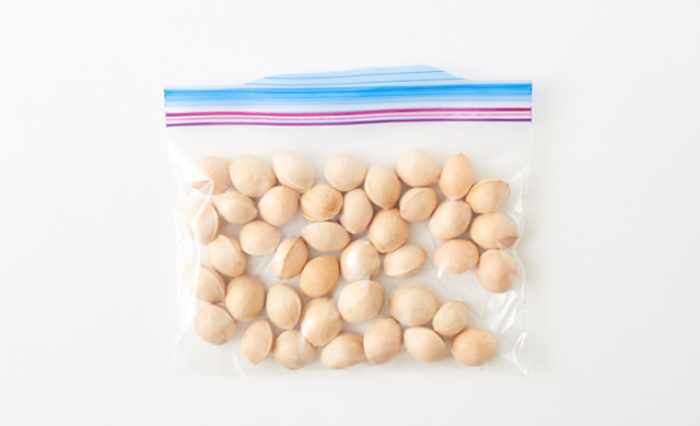 銀杏の食べ方ガイド レンジと紙封筒で簡単に下処理 殻むきができる ほほえみごはん 冷凍で食を豊かに ニチレイフーズ