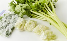 【セロリの保存方法】冷蔵で長持ちさせるコツを紹介！長期なら冷凍が◎