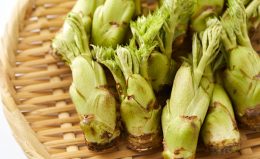 【タラの芽の冷凍保存方法】凍ったまま和え物や天ぷらに