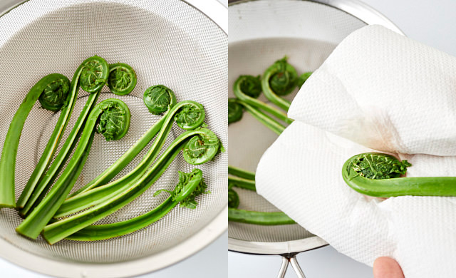 ゆでたこごみをざるに上げ、水けを拭き取る写真