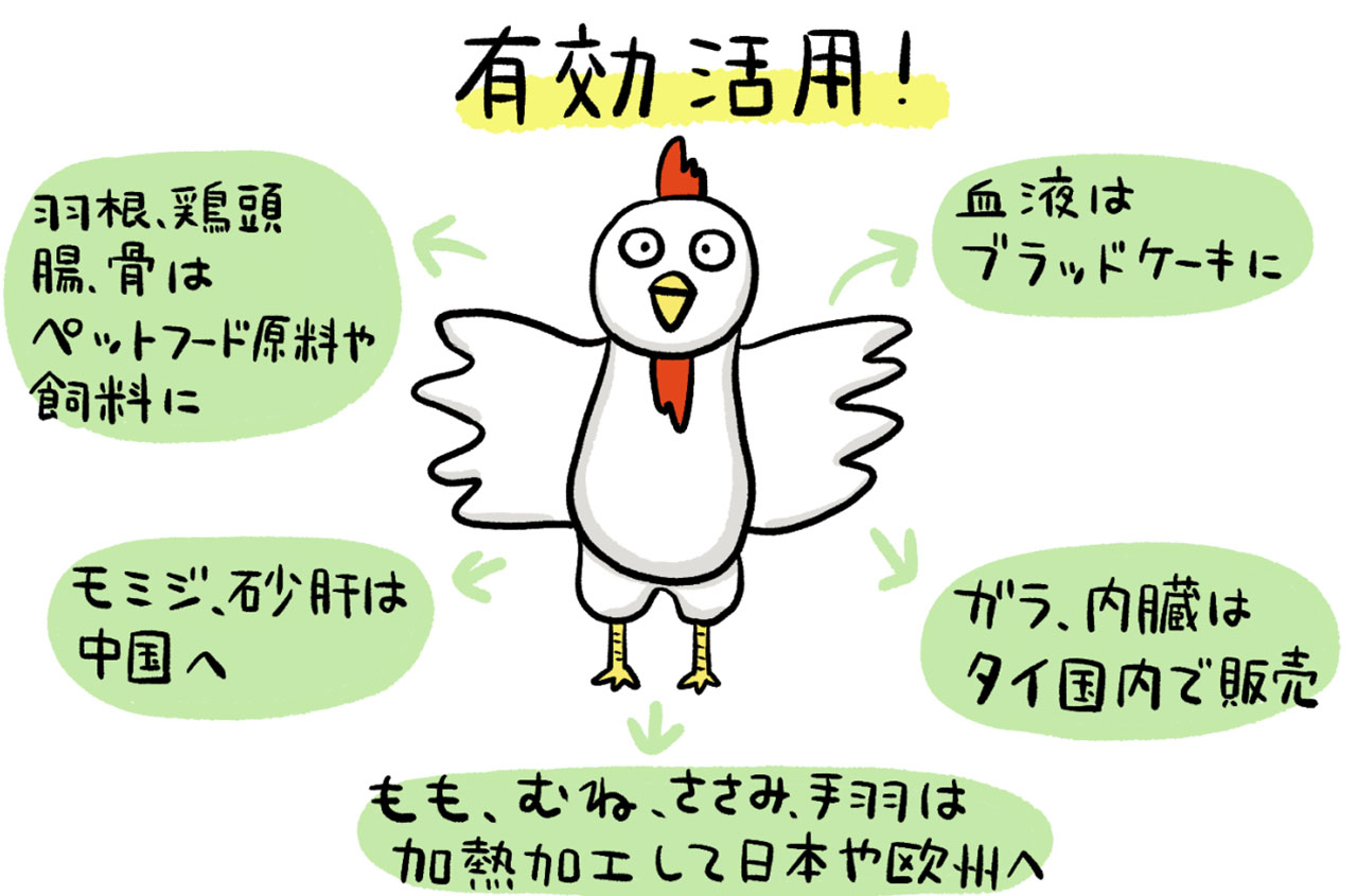1羽の鶏を有効活用するタイの鶏肉加工工場での取り組み