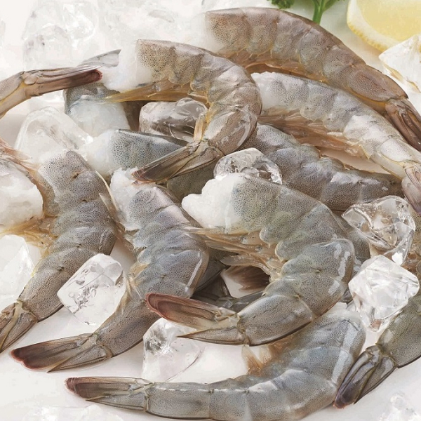 「FRESH&FRESH™」シリーズ