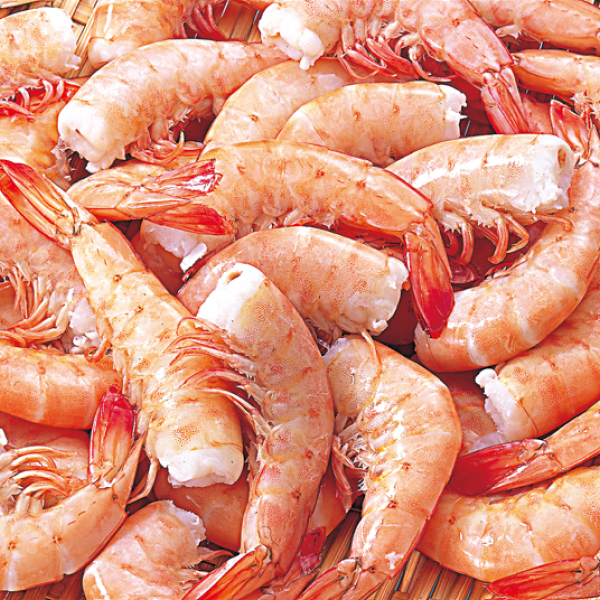 ブラジル産天然ピンクえび