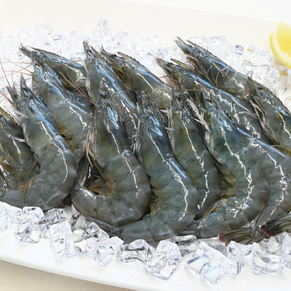 生食用『ぷるるん生えび™』