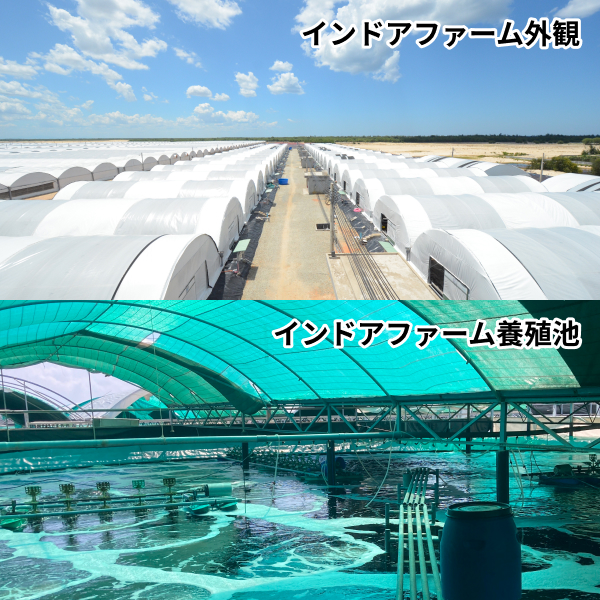 インドアファーム外観・インドアファーム養殖池