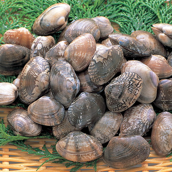 中国産あさり 割鮮&reg;