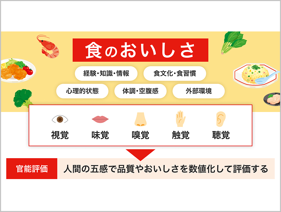食品の「おいしさ」を可視化し、
改良の道筋を切り拓く官能評価 